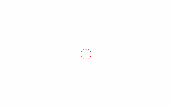 www.wirsinddigital.de