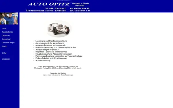 auto-opitz.de