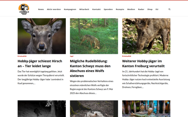 wildbeimwild.com