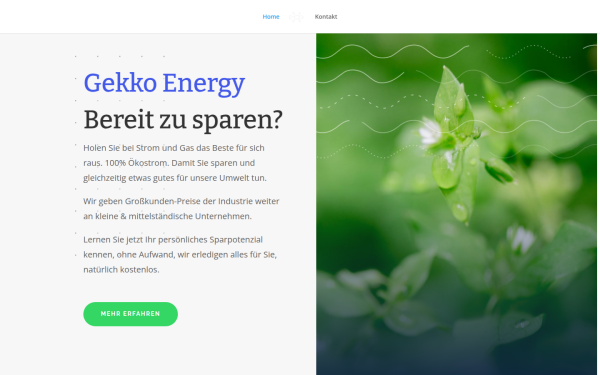gekko-energy.at