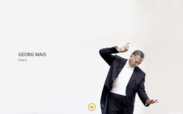 www.georgmais.de