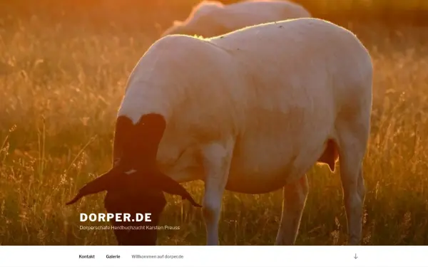 dorper.de