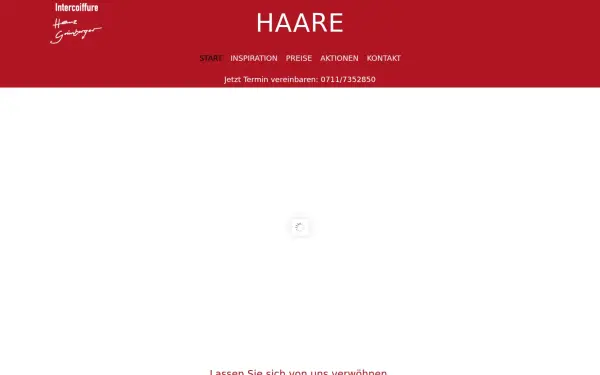 der-friseur-in-vaihingen.de