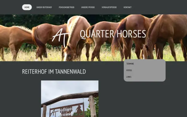 www.at-quarterhorses.de