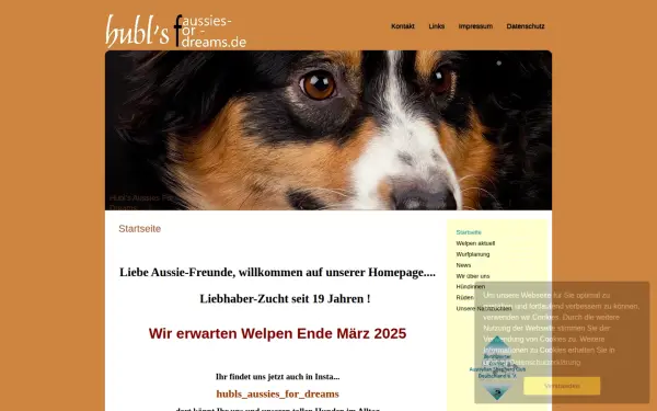 aussies-for-dreams.de