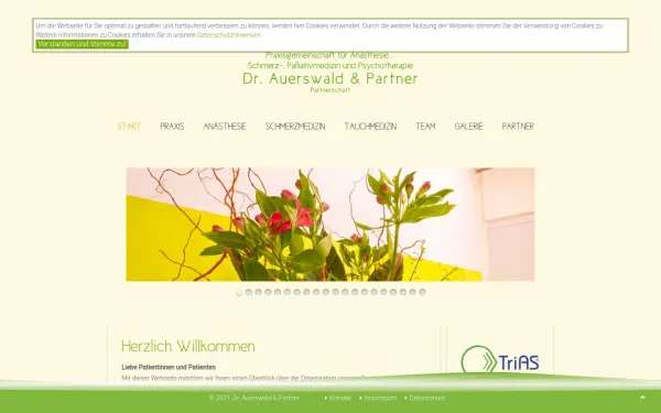 www.schmerztherapie-bremen.de