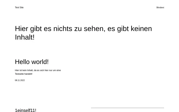 1einself11.de