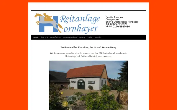 amerian.de