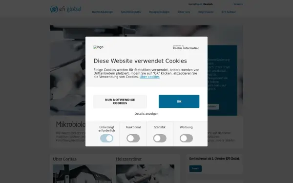 efiglobal.de