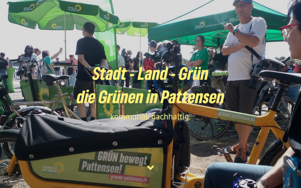 gruene-pattensen.de