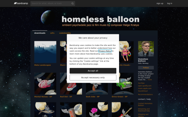 homelessballoon.com