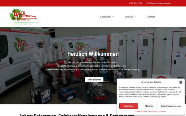 asbest-entsorgung.de
