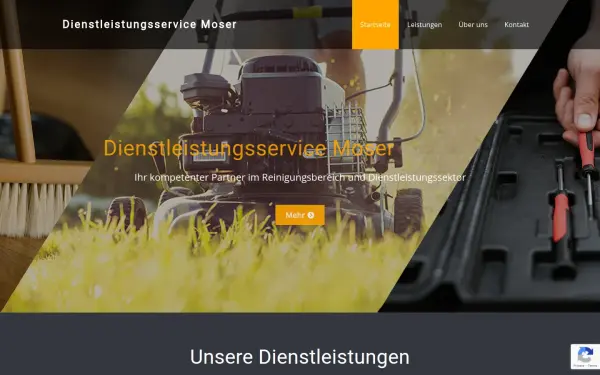 www.dls-moser.de