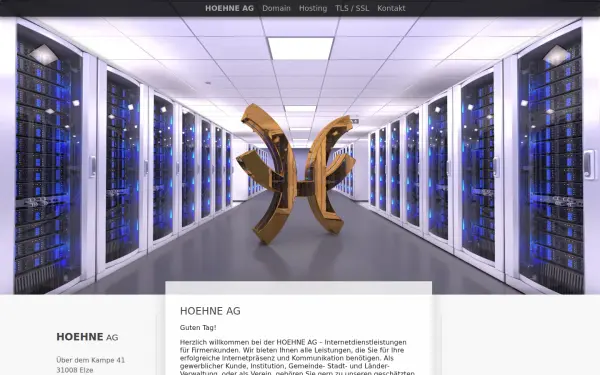 hoehne-ag.de