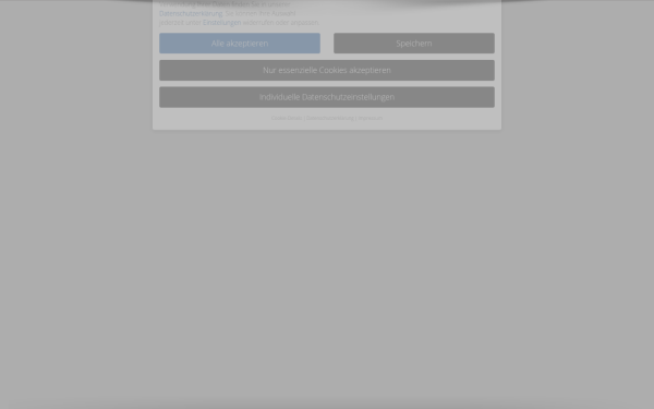 scheerer.solutions