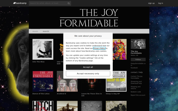 thejoyformidableofficial.bandcamp.com