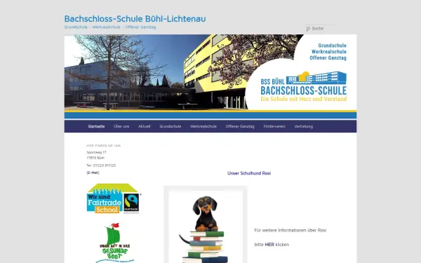www.bachschloss-schule-buehl.de