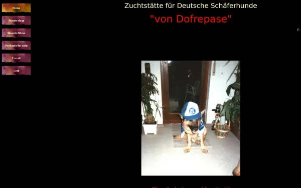 dofrepase.de