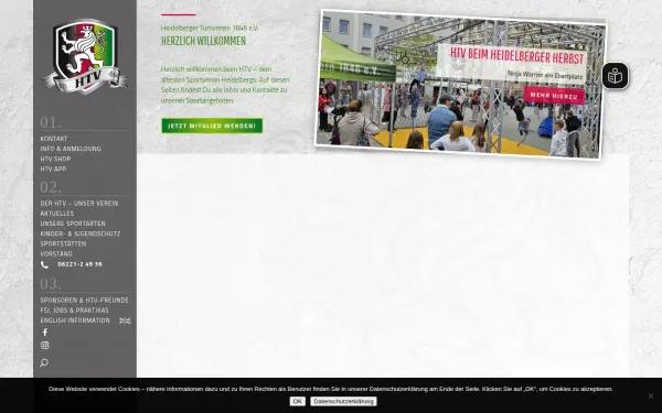 heidelberger-tv.de