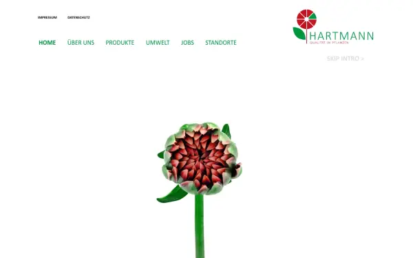 hartmanngartenbau.de