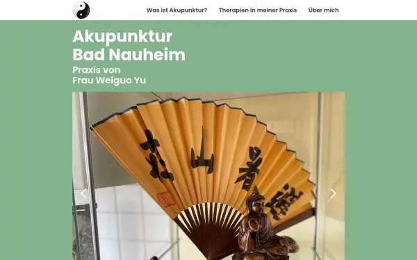 akupunktur-badnauheim.de