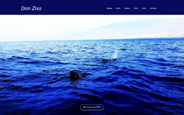 donziss.com