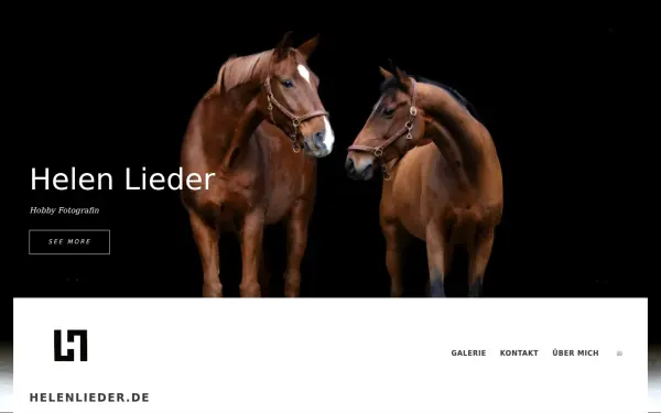 die-lieders.de