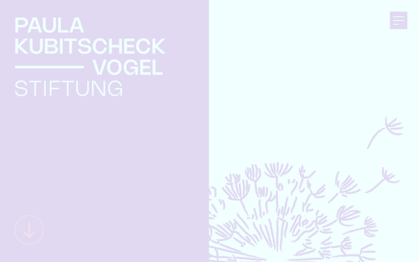 pkv-stiftung.de