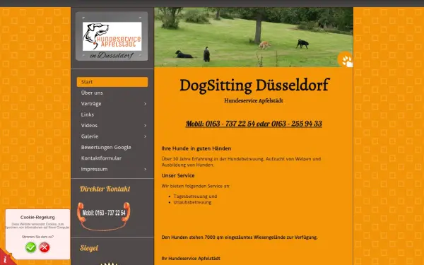dog-sitting-duesseldorf.de
