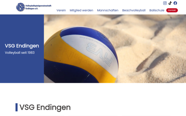 vsg-endingen.de