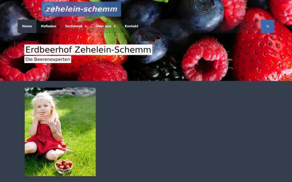 www.zehelein-schemm.de