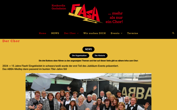 gv-gochsheim.de