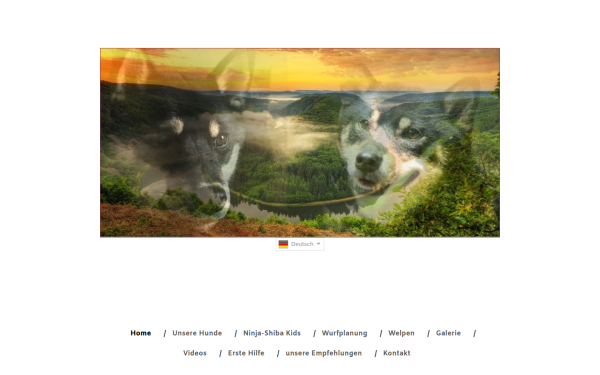 www.ninja-shiba.de
