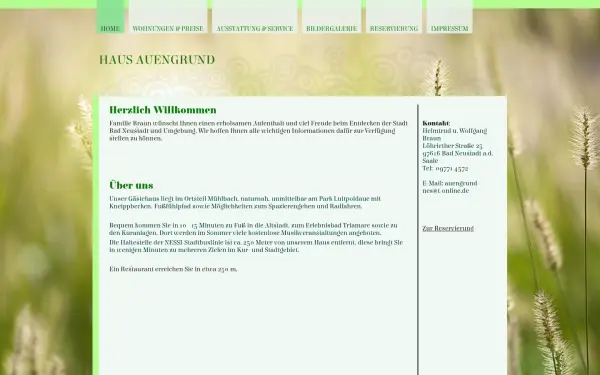 auengrund-nes.de