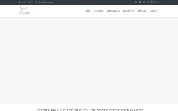 www.novaengel.com