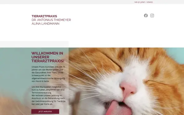 www.dr-a-thiemeyer.de