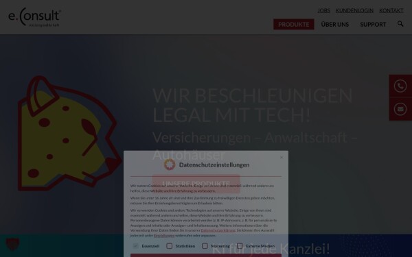 www.e-consult.de