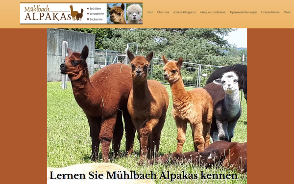 www.muehlbach-alpakas.de