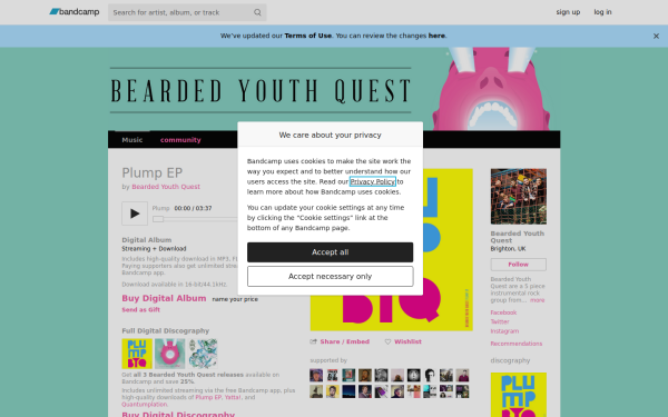 beardedyouthquest.bandcamp.com
