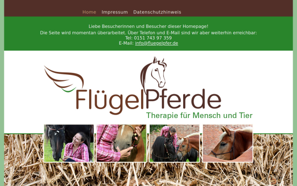 www.fluegelpfer.de