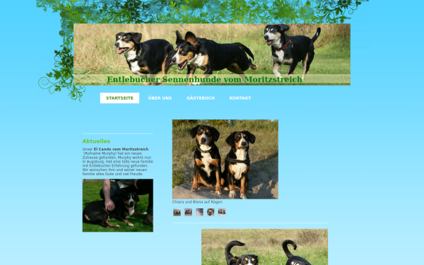 www.moritzstreich.de