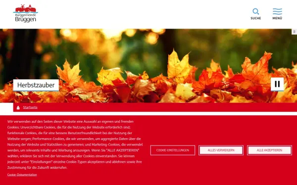 www.brueggen.de