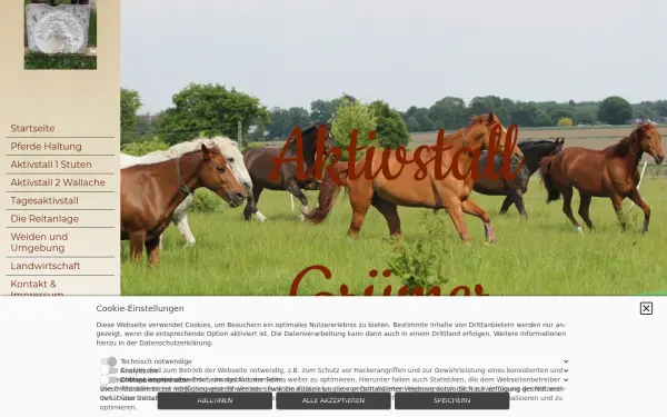 aktivstall-gruemer.de