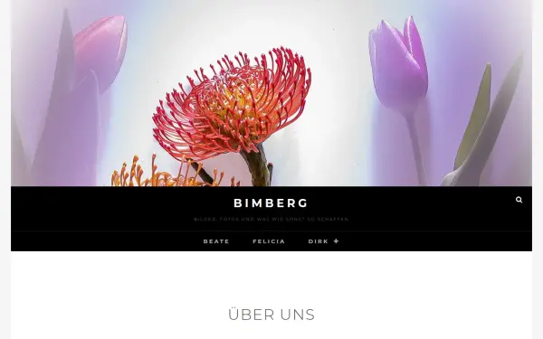 bimberg-hh.de
