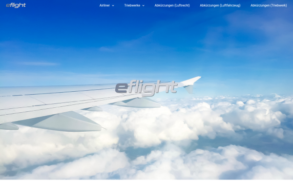 eflight.de