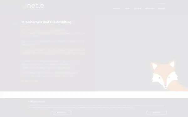 net-e.de