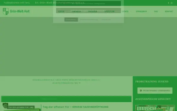 www.gruenweissholt.de