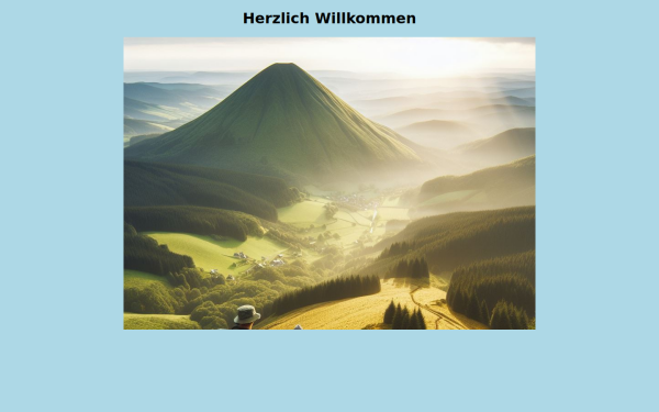 meier-velen.de