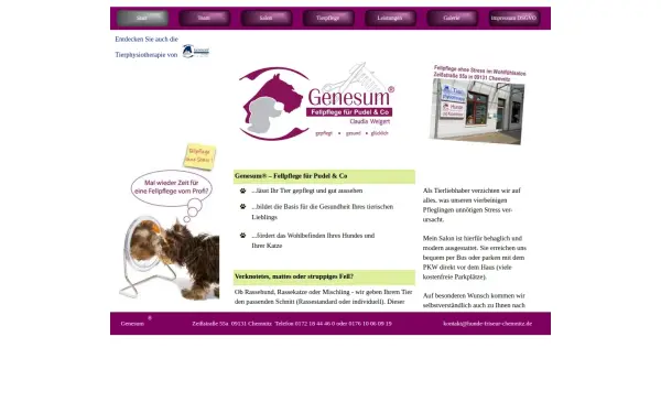 hunde-friseur-chemnitz.de