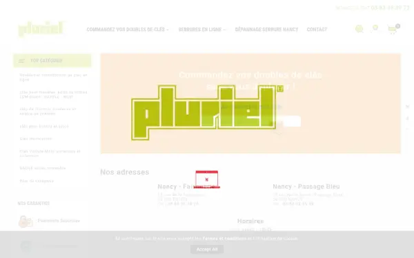 www.pluriel.fr